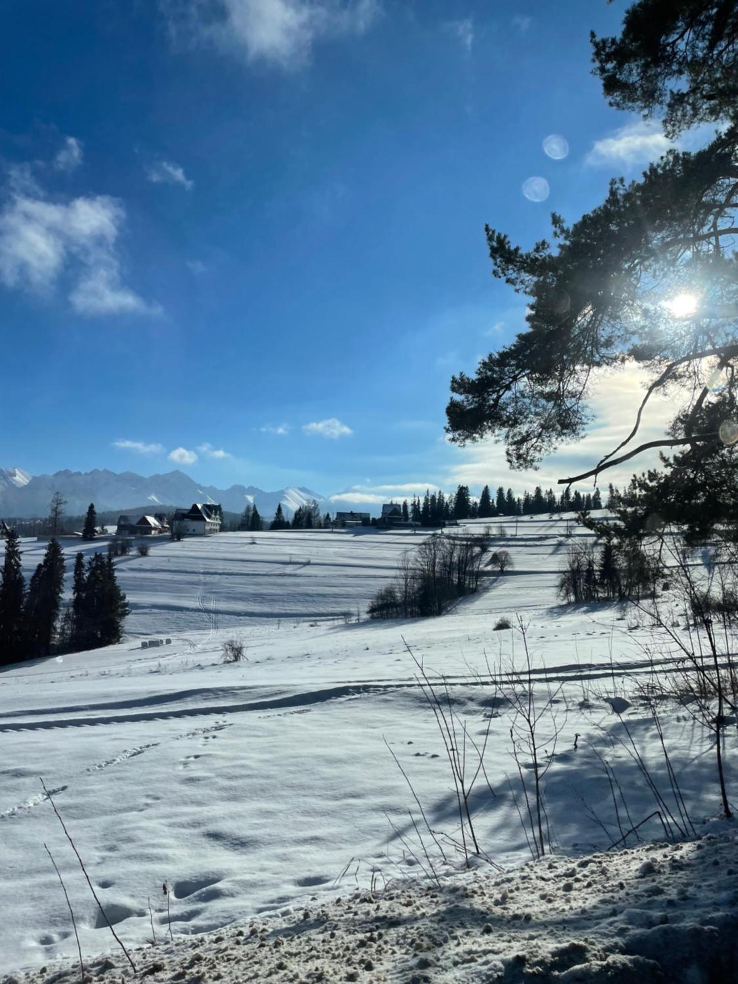 Willa Pod Wierchem Bukowina Tatrzańska Esterno foto